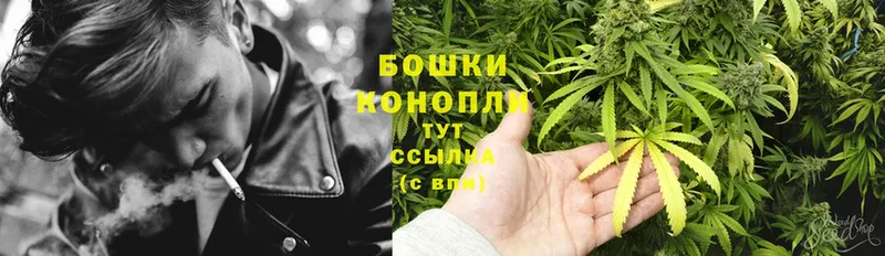 что такое   Курчалой  МАРИХУАНА OG Kush 